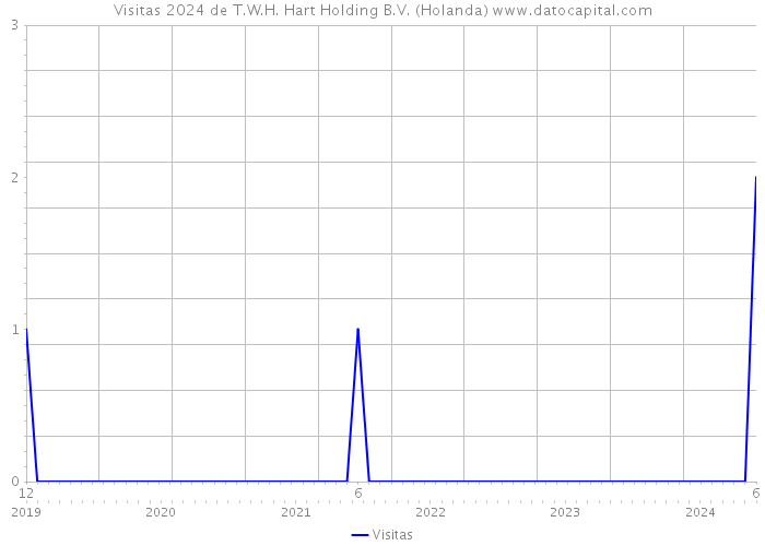 Visitas 2024 de T.W.H. Hart Holding B.V. (Holanda) 