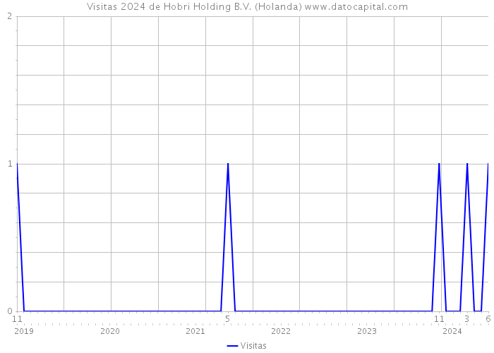 Visitas 2024 de Hobri Holding B.V. (Holanda) 