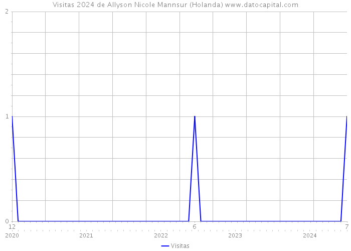 Visitas 2024 de Allyson Nicole Mannsur (Holanda) 