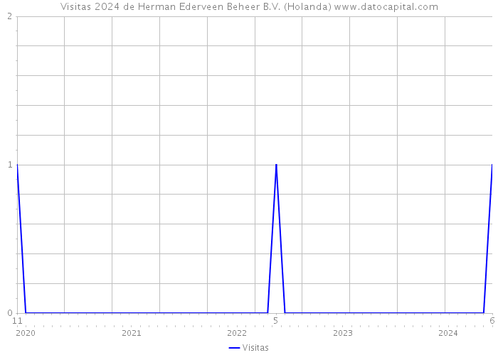 Visitas 2024 de Herman Ederveen Beheer B.V. (Holanda) 