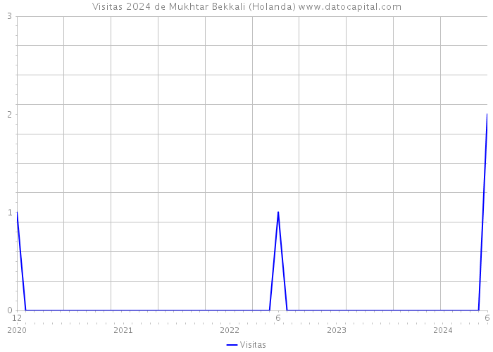 Visitas 2024 de Mukhtar Bekkali (Holanda) 