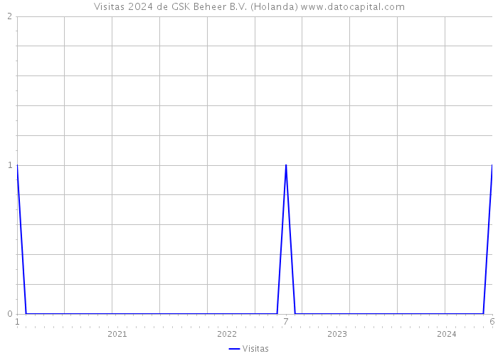 Visitas 2024 de GSK Beheer B.V. (Holanda) 