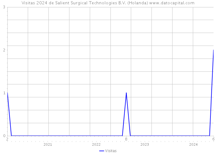 Visitas 2024 de Salient Surgical Technologies B.V. (Holanda) 