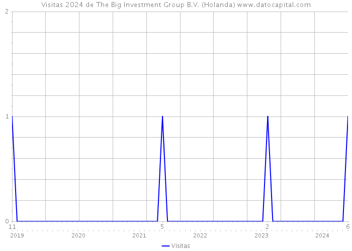 Visitas 2024 de The Big Investment Group B.V. (Holanda) 