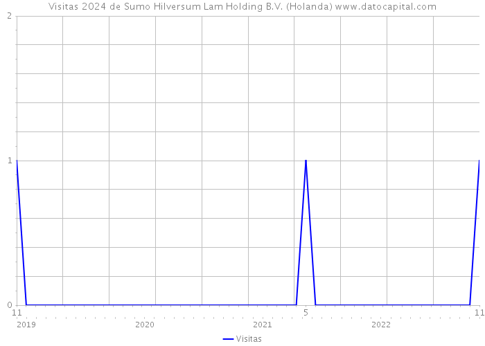 Visitas 2024 de Sumo Hilversum Lam Holding B.V. (Holanda) 