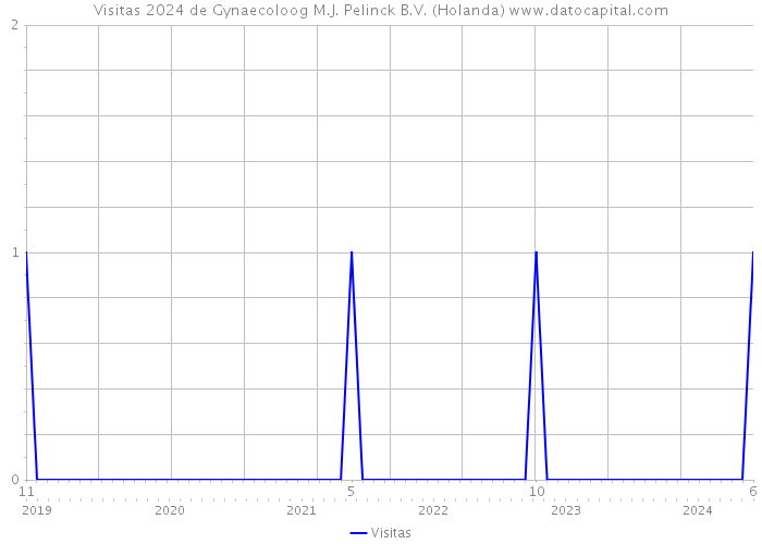 Visitas 2024 de Gynaecoloog M.J. Pelinck B.V. (Holanda) 