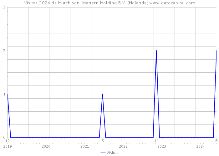 Visitas 2024 de Hutchison-Mattern Holding B.V. (Holanda) 