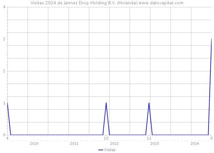 Visitas 2024 de Jannes Drop Holding B.V. (Holanda) 