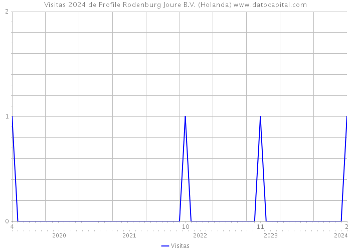 Visitas 2024 de Profile Rodenburg Joure B.V. (Holanda) 