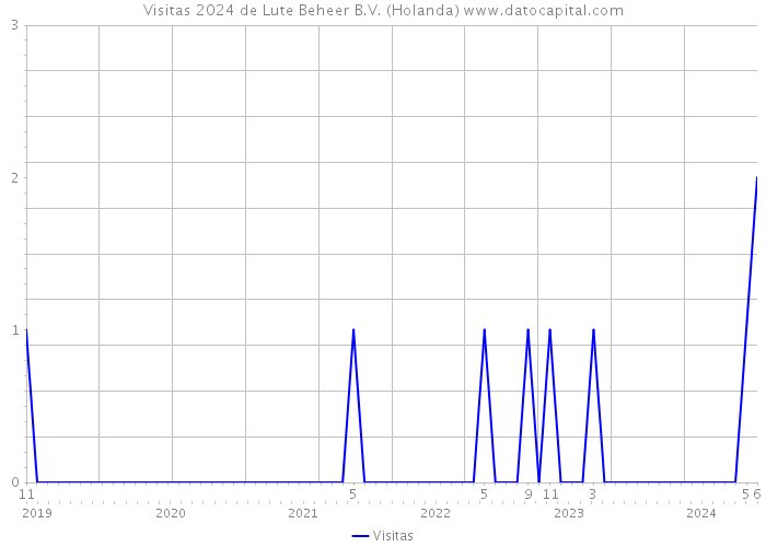 Visitas 2024 de Lute Beheer B.V. (Holanda) 