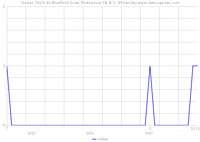 Visitas 2024 de Bluefield Solar Endeavour NL B.V. (Holanda) 