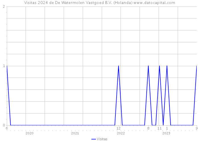 Visitas 2024 de De Watermolen Vastgoed B.V. (Holanda) 