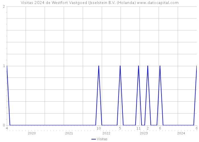 Visitas 2024 de Westfort Vastgoed IJsselstein B.V. (Holanda) 