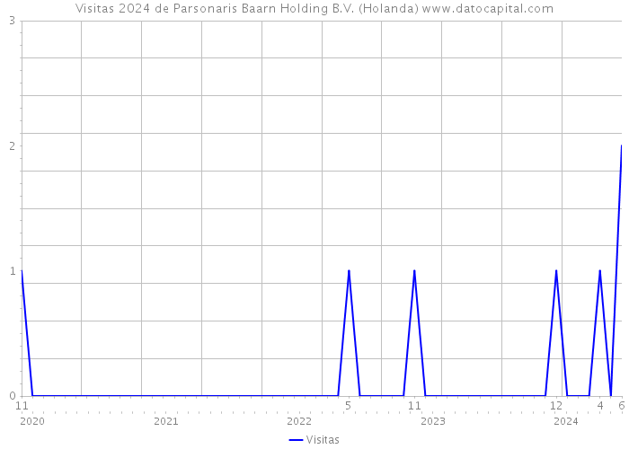 Visitas 2024 de Parsonaris Baarn Holding B.V. (Holanda) 