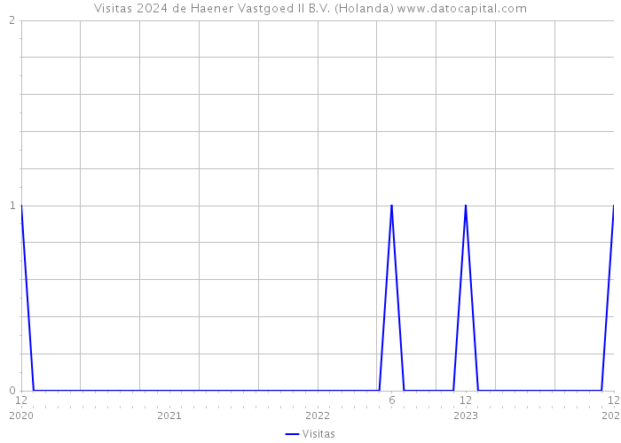 Visitas 2024 de Haener Vastgoed II B.V. (Holanda) 