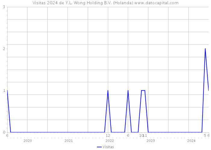 Visitas 2024 de Y.L. Wong Holding B.V. (Holanda) 