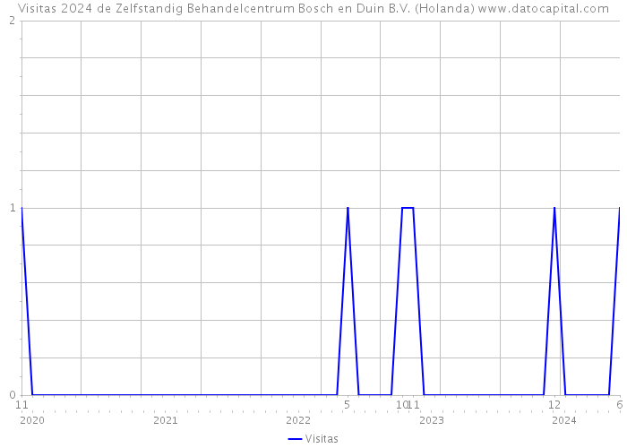 Visitas 2024 de Zelfstandig Behandelcentrum Bosch en Duin B.V. (Holanda) 