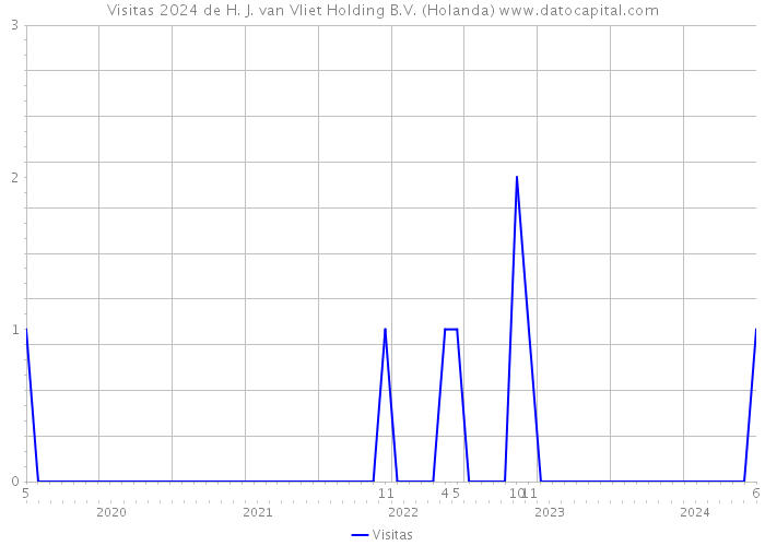 Visitas 2024 de H. J. van Vliet Holding B.V. (Holanda) 