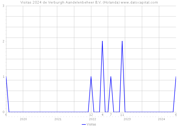 Visitas 2024 de Verburgh Aandelenbeheer B.V. (Holanda) 
