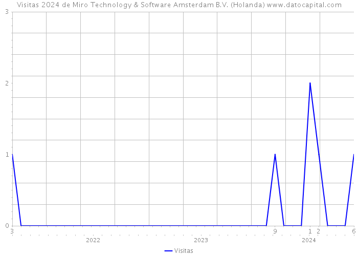 Visitas 2024 de Miro Technology & Software Amsterdam B.V. (Holanda) 