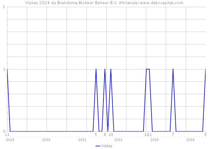 Visitas 2024 de Brandsma Blokker Beheer B.V. (Holanda) 