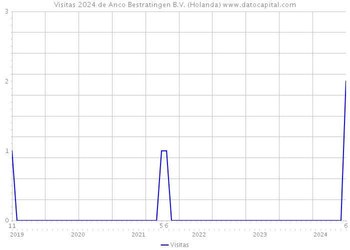 Visitas 2024 de Anco Bestratingen B.V. (Holanda) 