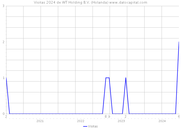 Visitas 2024 de WT Holding B.V. (Holanda) 