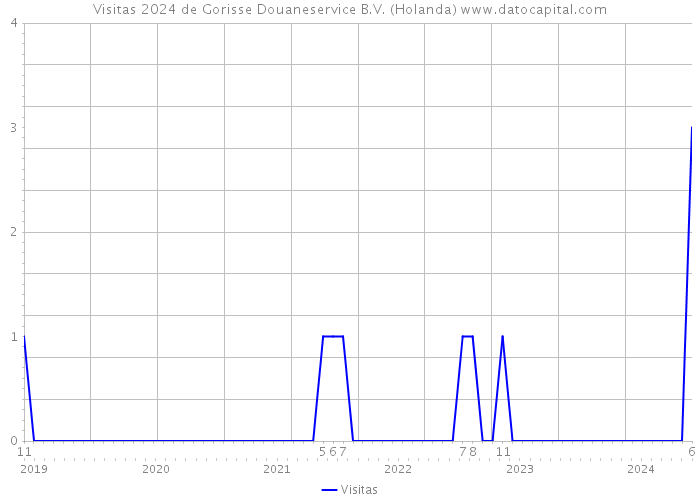 Visitas 2024 de Gorisse Douaneservice B.V. (Holanda) 