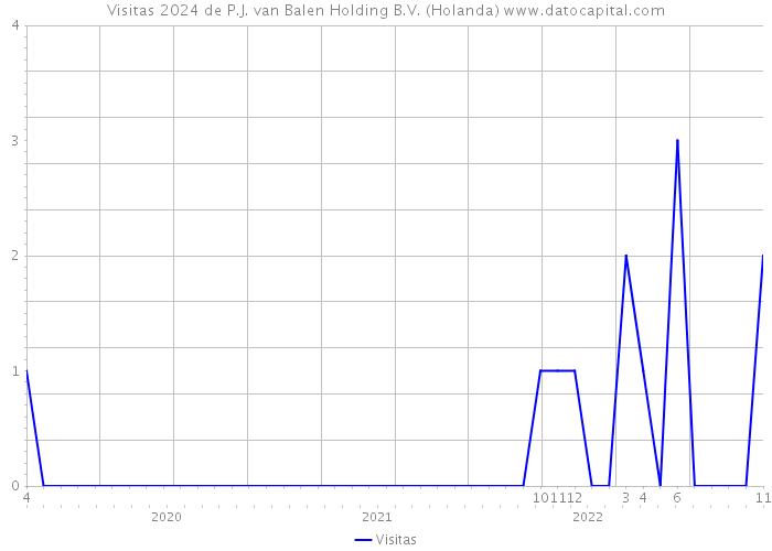 Visitas 2024 de P.J. van Balen Holding B.V. (Holanda) 