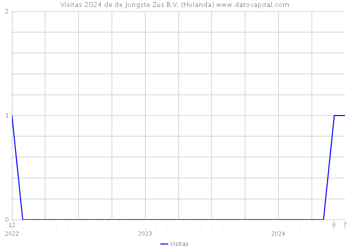 Visitas 2024 de de Jongste Zus B.V. (Holanda) 