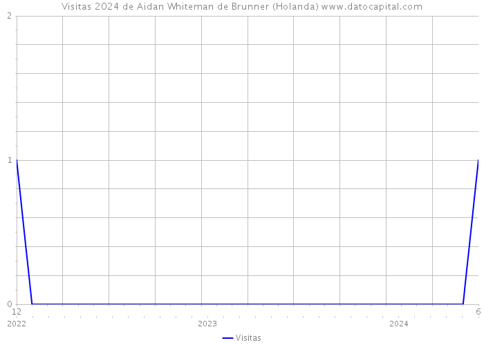 Visitas 2024 de Aidan Whiteman de Brunner (Holanda) 