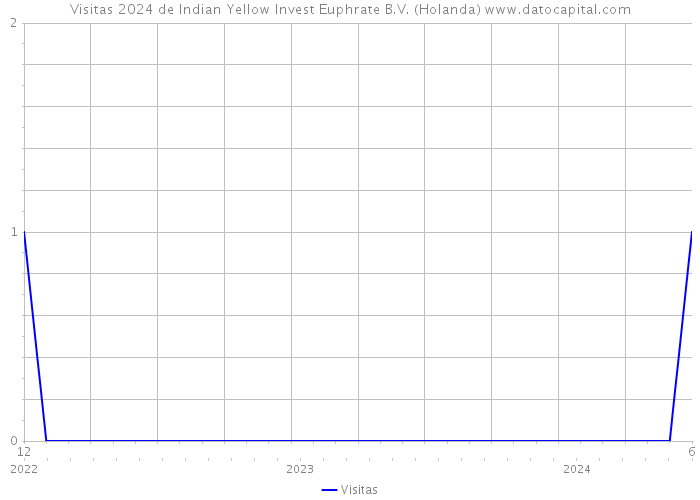 Visitas 2024 de Indian Yellow Invest Euphrate B.V. (Holanda) 