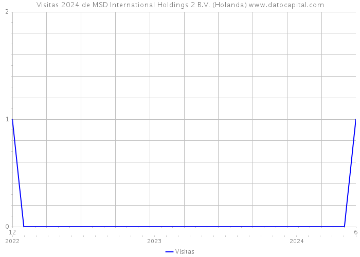 Visitas 2024 de MSD International Holdings 2 B.V. (Holanda) 