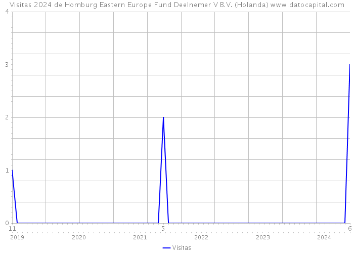 Visitas 2024 de Homburg Eastern Europe Fund Deelnemer V B.V. (Holanda) 
