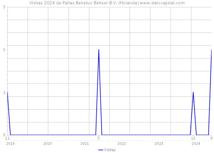 Visitas 2024 de Pallas Benelux Beheer B.V. (Holanda) 