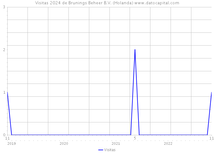 Visitas 2024 de Brunings Beheer B.V. (Holanda) 