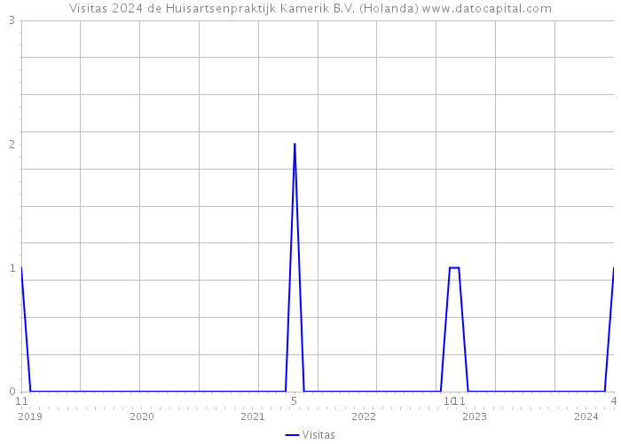 Visitas 2024 de Huisartsenpraktijk Kamerik B.V. (Holanda) 