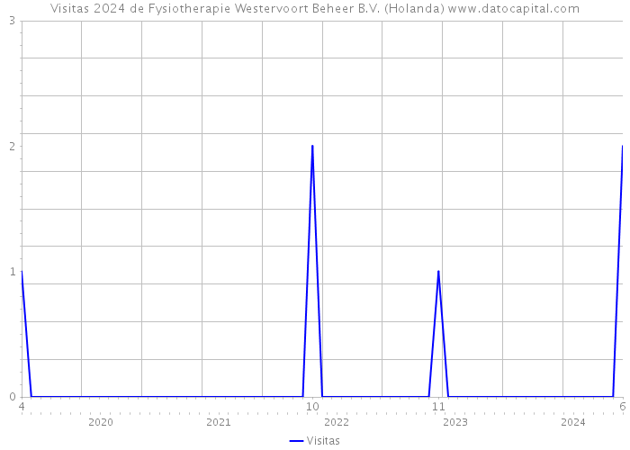 Visitas 2024 de Fysiotherapie Westervoort Beheer B.V. (Holanda) 