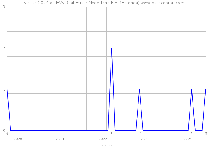 Visitas 2024 de HVV Real Estate Nederland B.V. (Holanda) 