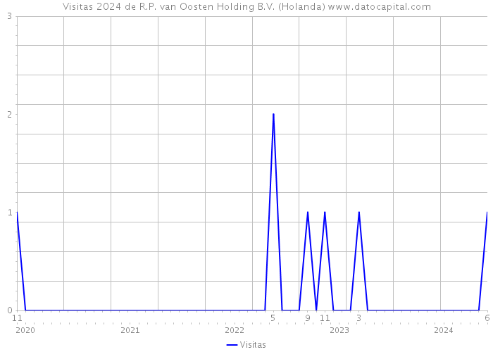 Visitas 2024 de R.P. van Oosten Holding B.V. (Holanda) 