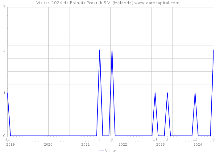 Visitas 2024 de Bolhuis Praktijk B.V. (Holanda) 