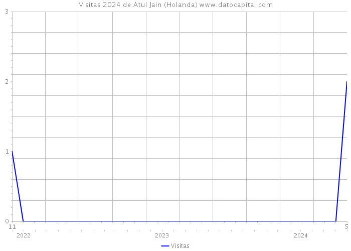 Visitas 2024 de Atul Jain (Holanda) 