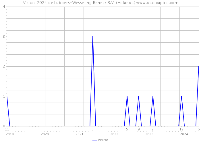 Visitas 2024 de Lubbers-Wesseling Beheer B.V. (Holanda) 
