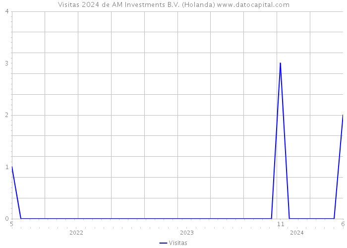 Visitas 2024 de AM Investments B.V. (Holanda) 