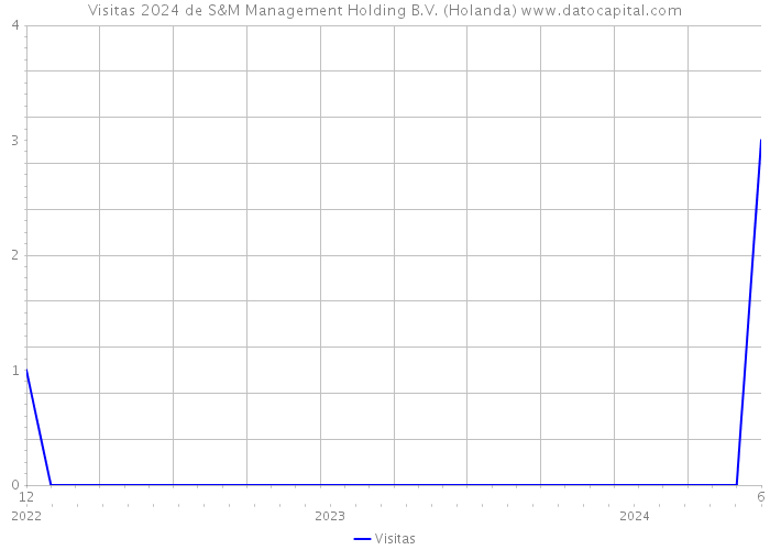 Visitas 2024 de S&M Management Holding B.V. (Holanda) 