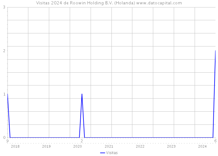 Visitas 2024 de Roowin Holding B.V. (Holanda) 