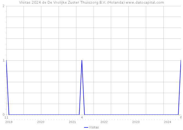 Visitas 2024 de De Vrolijke Zuster Thuiszorg B.V. (Holanda) 