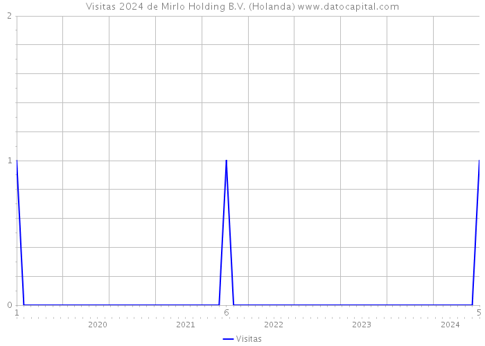 Visitas 2024 de Mirlo Holding B.V. (Holanda) 