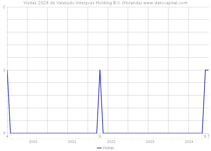 Visitas 2024 de Valetudo Interpres Holding B.V. (Holanda) 