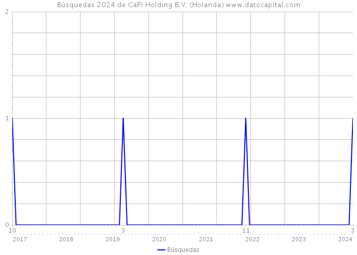 Búsquedas 2024 de CaPi Holding B.V. (Holanda) 